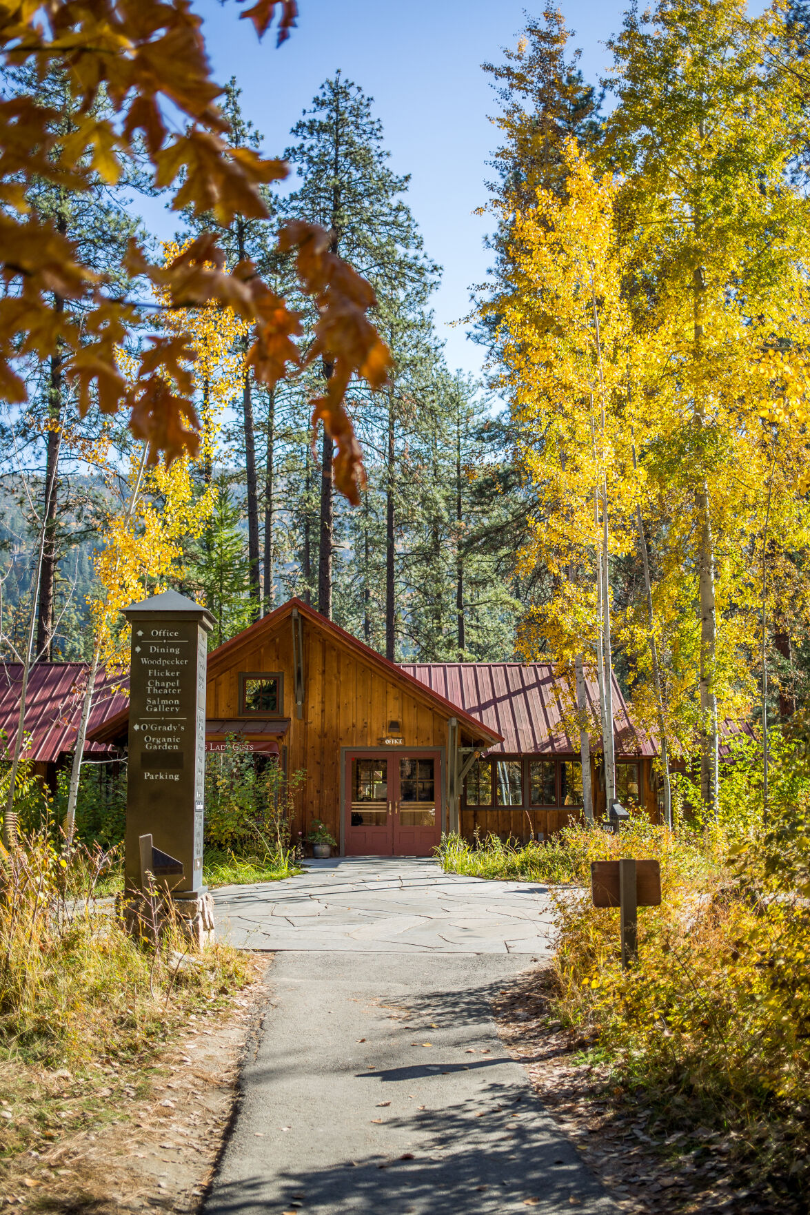 Sleeping-Lady-cabins.jpg